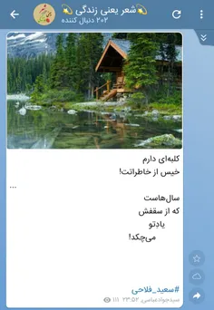 سعید فلاحی (زانا کوردستانی)