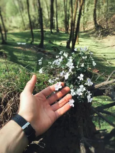 عقل می گفت 