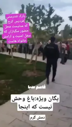 ❌️دم پلیس گرم که این جماعت سگ باز رو از پارک‌ها جمع میکنه