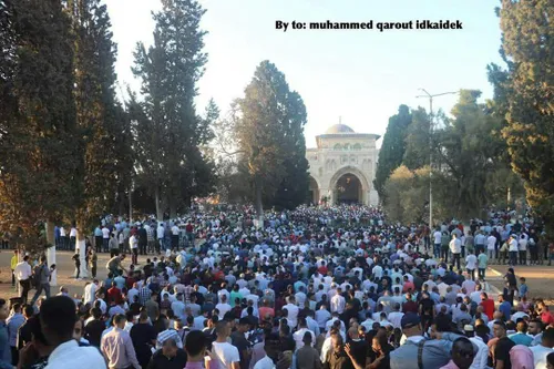 🕌 برگزاری نماز عید قربان در مسجد الاقصی با حضور هزاران فل