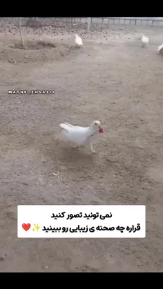 روزتون خوش..