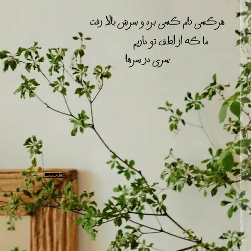 ♥️🍃روزی جوانی