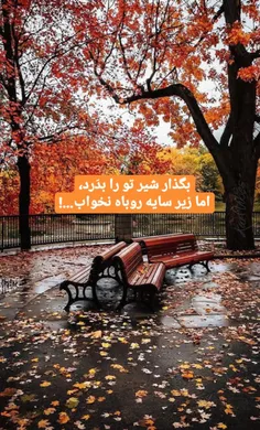 عکس نوشته kavehbabadi 25121828