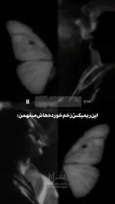 این ریمیکسَ زخم خوردع هاش میفهمن:)🖤🌿