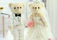 ازدواج پرهزینه ی دو عروسک خرسی در مصر! 