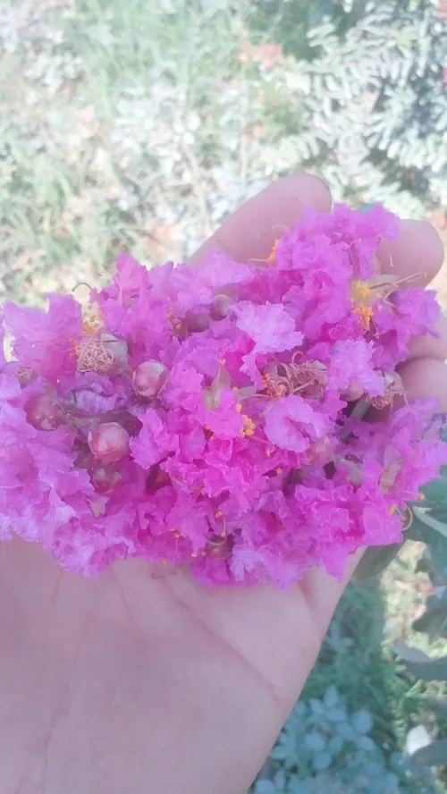 چطوره