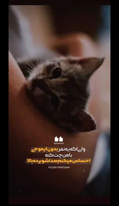 با ایموجی باهام صحبت کنید😕🤦🏻‍♀️