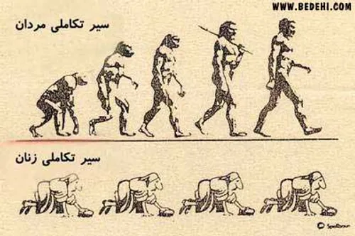 این دیگه واقعا نظر میخواد