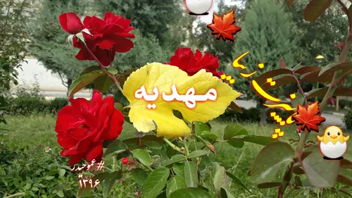 مهدیه