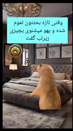 خب بریم برای راند دو 🤣