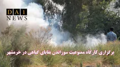 برگزاری کارگاه ممنوعیت سوزاندن بقایای گیاهی در خرمشهر