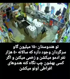 〽️ این فیلم را با دقت ببینید