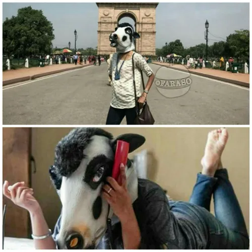 در هند یک عکاس، در یک اقدام اعتراضی، زنانی با ماسک گاو را