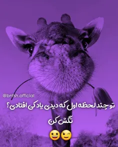 تگ کن😹