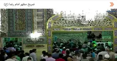 ضریح مطهر امام رضا (ع) مستقیم🌼 🌸 🌻 