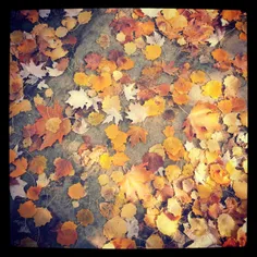 نقاشیه زمین با برگ های پاییزی.