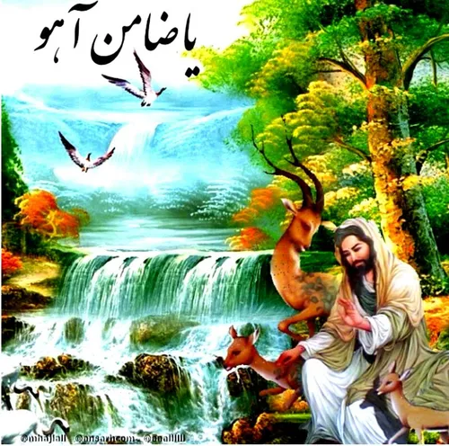 یا امام رضا (ع) تو حاجت همه رو روا کن