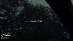 نسبت ؟