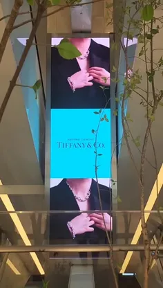 تبلیغ جیمین برای Tiffany & Co در فروشگاه مرکز تجاری Hyund