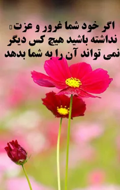 عکس نوشته neda_4529319 17131743