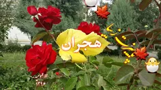 #هجران