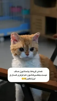 عه من 🥹