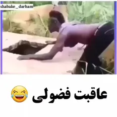 فضول