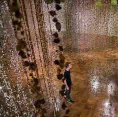 نمایشگاه آبشار گل ها در موزه هنر اوهایو 