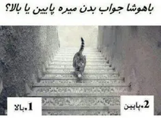 ......