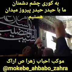 تا کور شود هر آنکه نتواند ببیند 