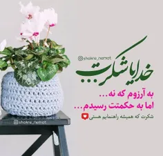 لطفا مطلب قرار داده شده رو لایک نفرمایید (اشتباه تایپی نیست)