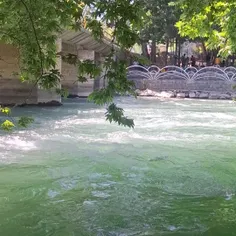 👩🏼‍🎓ی روز خوب با دوستان در باغ بهادران