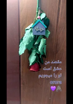 🌹🍃در میان این همه اگر ،تو حتمی ترین باید من هستی 