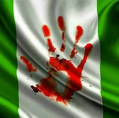 عربی ۲۱: ارتش #نیجریه حسینیه #زاریا را کاملاً تخریب کرد