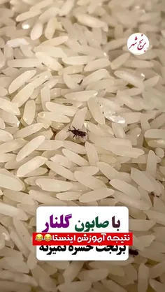 ممنون که لایک می کنید 