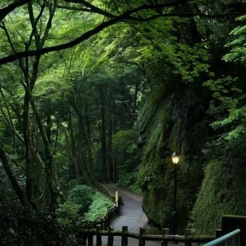 وایب دوست داشتنی...:)🌱🍃