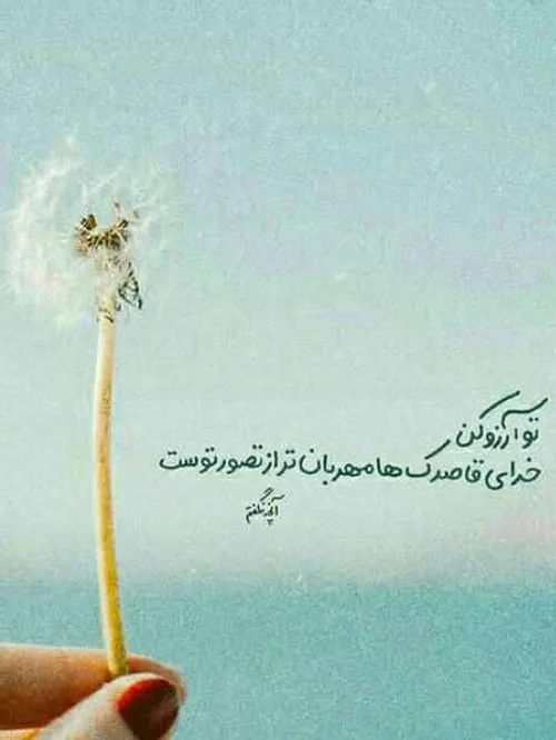 عکس نوشته