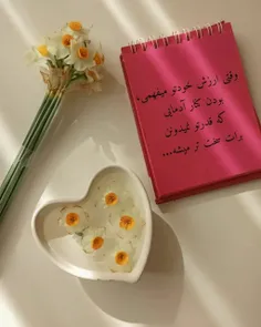 ≼وَقتی‌اَرزِشِ‌خوُدِت‌رو‌میفَهمی...!🌾💚≽