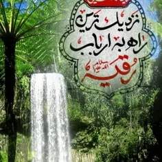 جانم فدای. حضرت. رقیه.فرزنده.امام.حسین.ع.