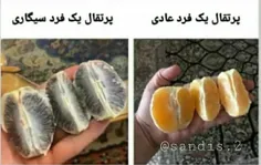 بفرمایین پرتغال 😋