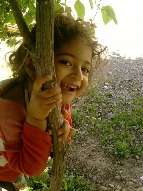 گوناگون mahmood441 658381 - عکس ویسگون