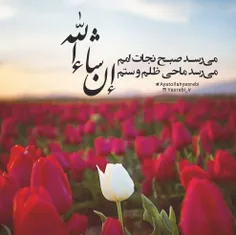 ✋ سلام مولای ما، مهدی جان 💚🕊