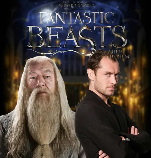 جود لا نقش جوانی البوس دامبلدور رو تو سری fantastic beast