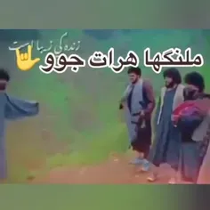 جااان بگردم