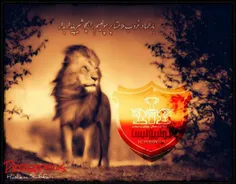 همه پرسپولیسیا