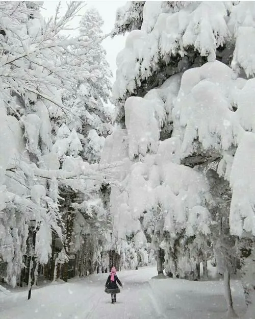 برف زمستان winter snow ice یخ