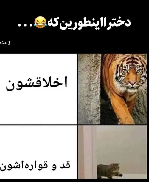 ملک جون خودتی ها🤣🤣