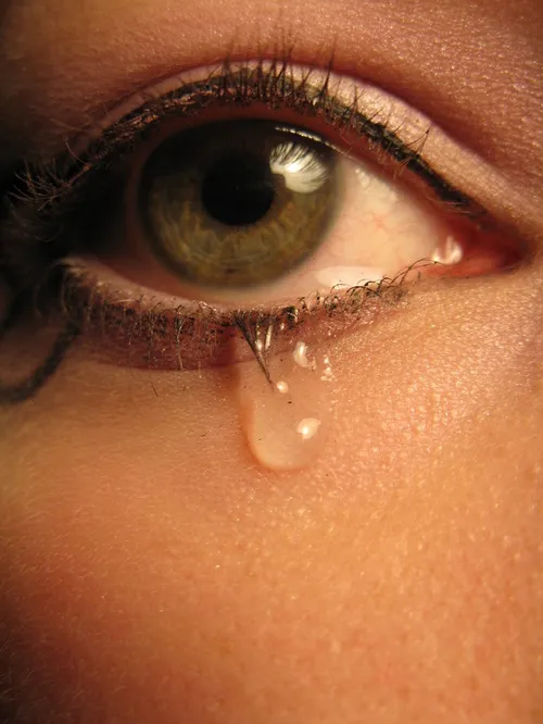 اشک ها قطره نیستند