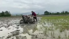 استاد در حال کشاورزی در زمین روستای زادگاه خود
