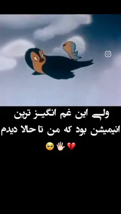 alibaba62717 77067449